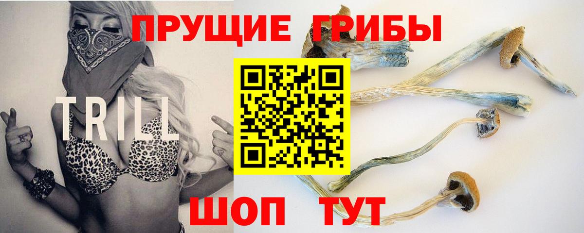Оренбург  Галлюциногенные грибы прущие грибы  Вход с VPN 