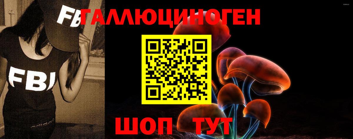 Галлюциногенные грибы Psilocybe Оренбург
